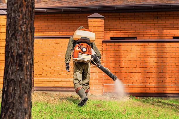 Trusted Cockroach Control service in Rotonda, FL - Nex Pest Control